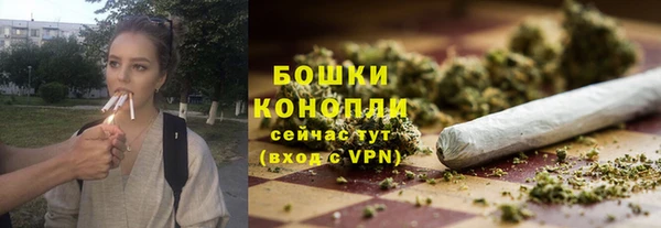 сатива Арсеньев