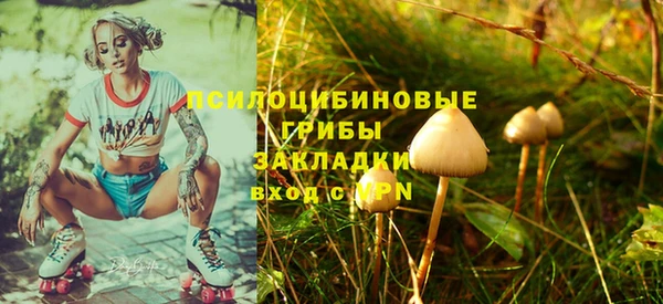 сатива Арсеньев
