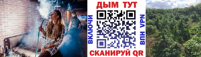 Бошки марихуана семена  Сковородино 